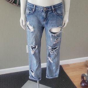 One Teaspoon Awesome Baggies Distressed Jean